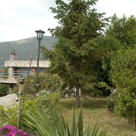 B&B La Vecchia Scuola Sonnino Extérieur photo